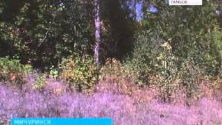 Дежурная часть/Тамбов, 20 сентября 2014 Дежурная часть/Тамбов, 20 сентября 2014
