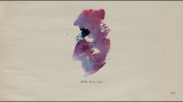 The Memoir - Page 174: LF58 (Live)