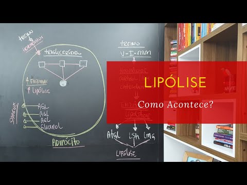 Vídeo: Lipólise: Objetivo, Procedimento E Efeitos Colaterais