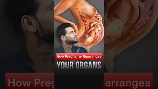 Human Organs during Pregnancy #pregnancychanges #pregnancy