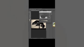 Remove Tree Background in Photoshop #shorts #photoshop #tutorial #editing