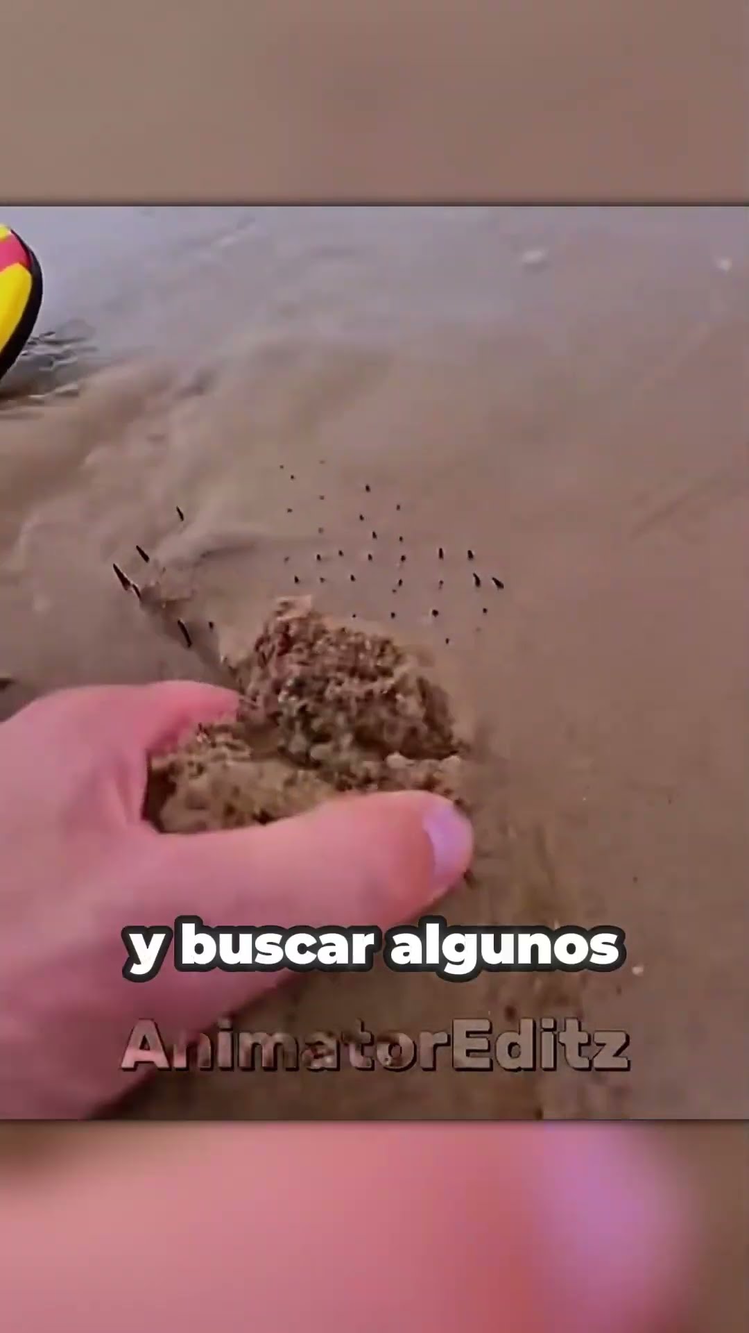 Una TRAMPA oculta en la PLAYA☠️
