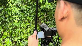 Recording rain in the deep forest
