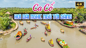 Ca Cổ Hơi Dài 1000 Chữ Ru Ngủ Thư Giãn Êm Tai - Vừa Nằm Vừa Nghe Ca Cổ Cải Lương Hay🌾Tân Cổ Dân Ca