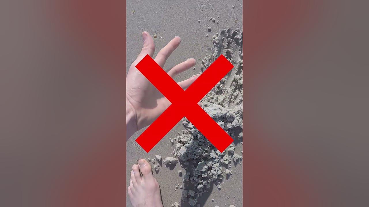 Where to Pee At the Beach YouTube