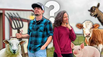 Guess What NEW ANIMAL Just Joined the Homestead