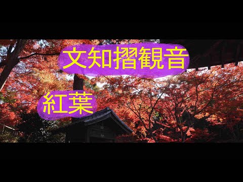 【4K UHD】福島の紅葉 文知摺（もちずり）観音 普門院