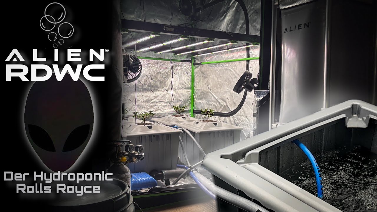 ALIEN® RDWC 4 Pot 36L PRO Silver Series Aufbau // Der Rolls Royce der Hydroponic - Systeme