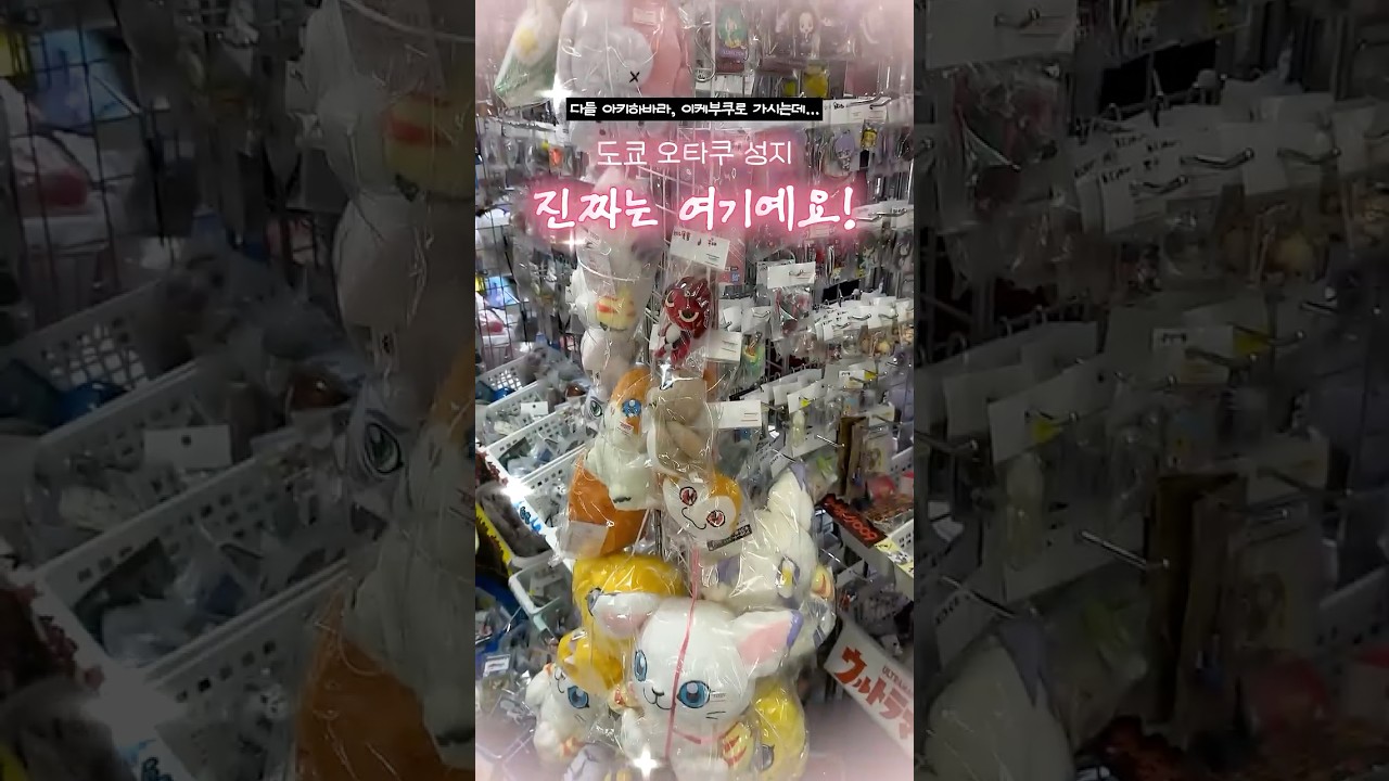 찐 도쿄 오타쿠 성지, 아키하바라 아니고 여기예요 (나카노)