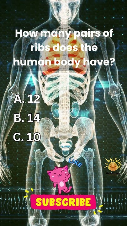 how-many-pairs-of-ribs-does-the-human-body-have-test-your-anatomy