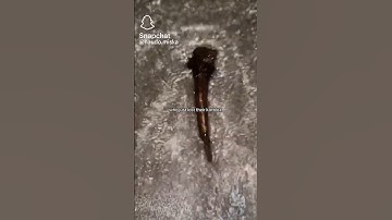 someone lost their korblox (check desc) #roblox #funny #korblox