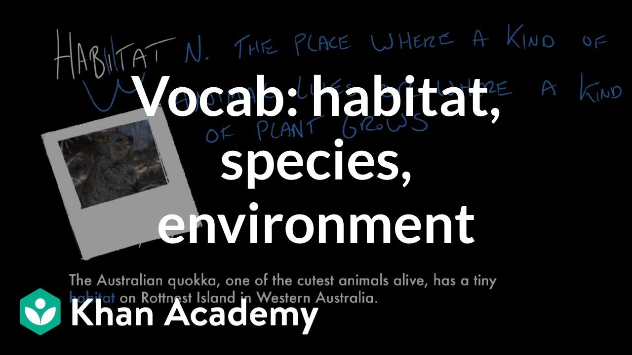 Habitat, Species, Environment | Vocabulary | Khan Academy