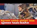Sareen Nama Abbaa Isaa Ajjeese Haalo Bahe Movie Recap Max Movie Sareen Nama Abbaa Isaa Ajjeese Haalo Bahe Movie Recap Max Movie