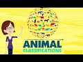 Animal Classification Quiz