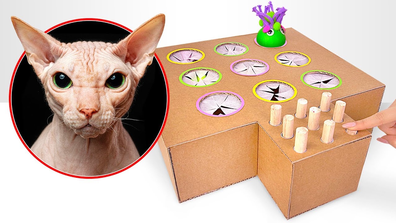 fabriquer des jeux pour chat