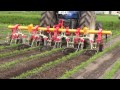 ハイテクカルチ 中耕 除草 Cultivator 【キュウホー ASHORAGRI】
