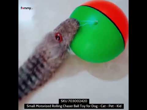 Small Motorized Rolling Chaser Ball Toy for Dog, Cat, Pets 