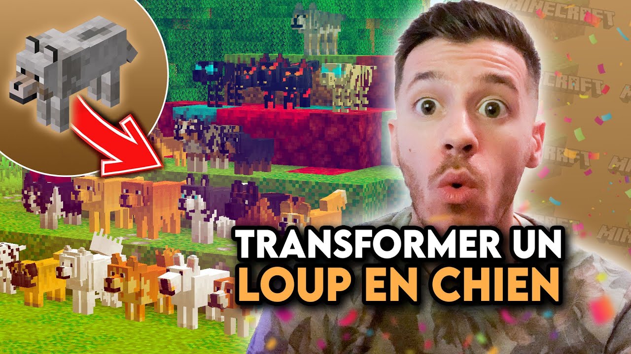 Comment MODIFIER les LOUPS par des CHIENS RÉALISTES (Minecraft) - YouTube