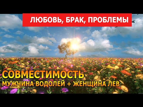 Совместимость мужчины Водолей и женщины Лев