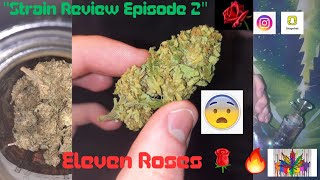 Eleven Roses strain review