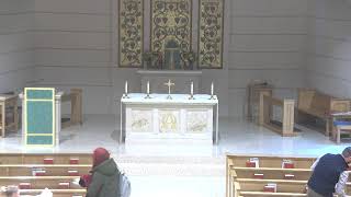 02/08/26 10:30am Mass