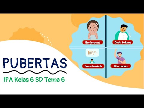 Pubertas | Pertumbuhan & Perkembangan Manusia | IPA Kelas 6 SD | Tema 6 dan 7 | Semester 2