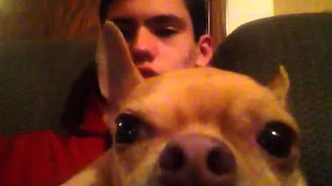 Gizzy