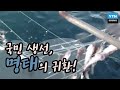 국민 생선, 명태의 귀환! / YTN 사이언스
