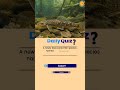 Daily UPSC MCQ Quiz | 16 June 2026 | Vajirao and Reddy IAS Institute