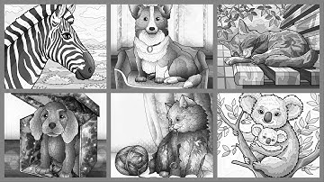 Happy Animal Collection Zebra Koala Cats Dogs Collection Hey Color by Number #coloringbook #gameplay