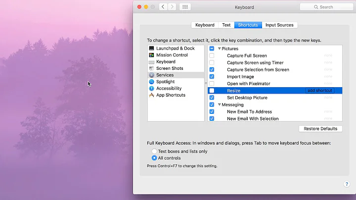 How-To: Delete and Disable Services in OS X