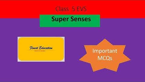 Class 5| Chapter 1- Super Senses MCQs| Finest Education
