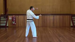 Dan-Gun - Yellow Belt Pattern - Jinhwa Taekwondo screenshot 3