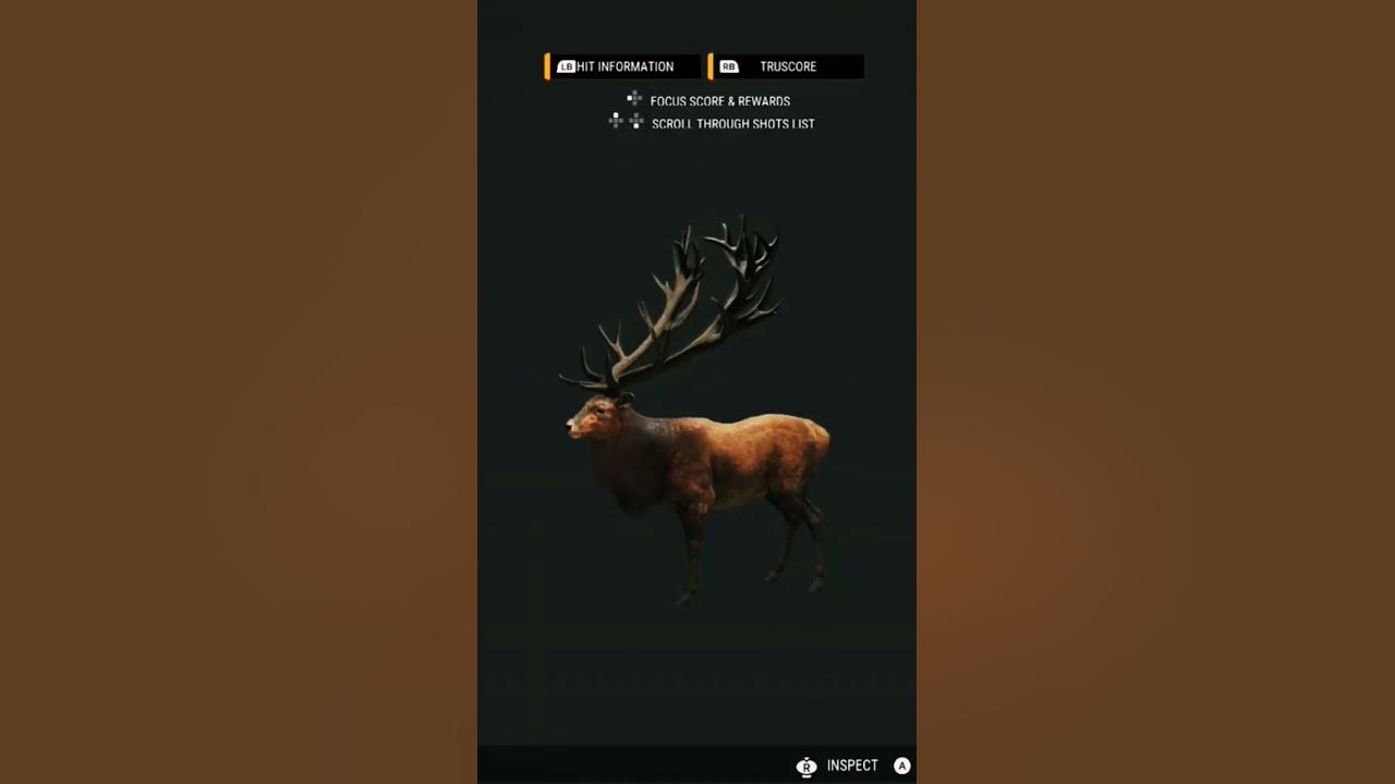 max-weight-red-deer-cotw-gaming-clips-youtube