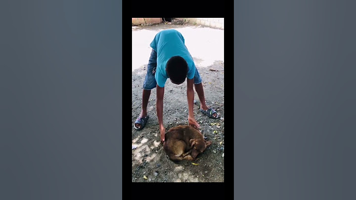 En Ese Momentos Cell Sintió El Verdadero Terror 🤣🐕 #short #youtubeshort #humor