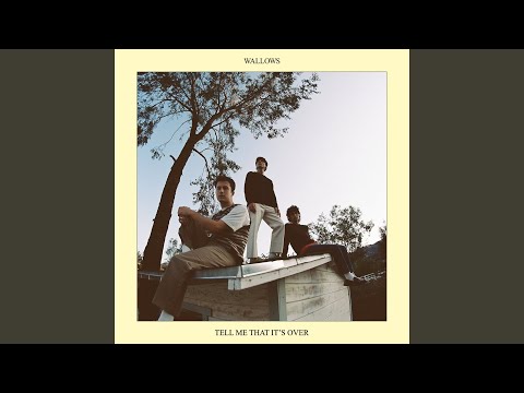 Missing Out - Wallows