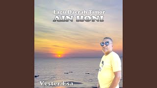 AIN HONI