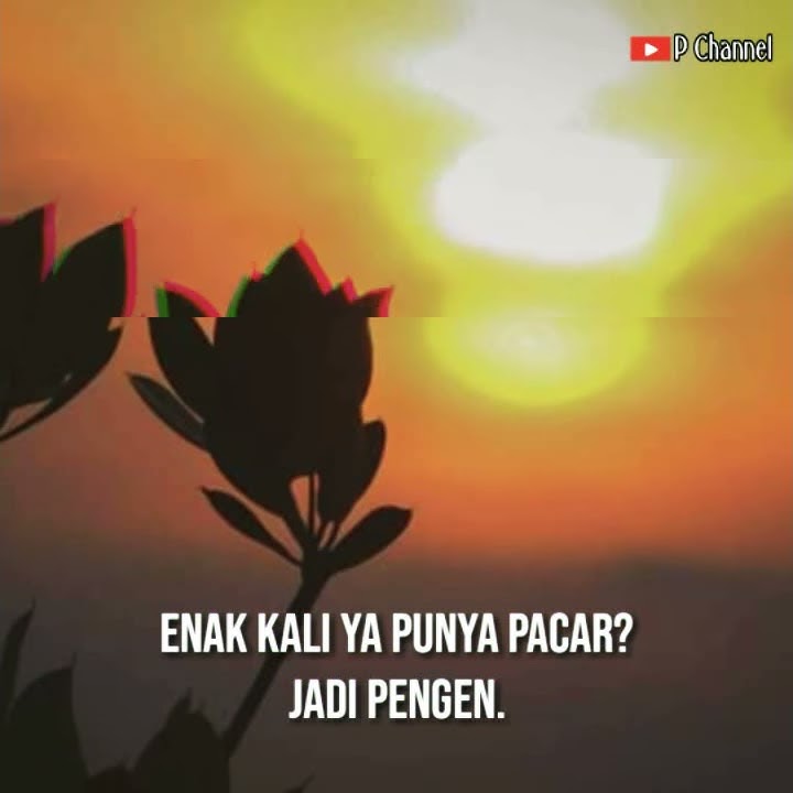 Story Wa DJ Terbaru | DJ REMIX | Story Wa DJ Keren | Story Wa DJ Kekinian