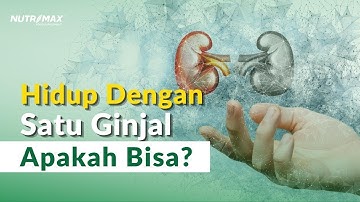 Bisakah Hidup dengan 1 Ginjal? | Donor Ginjal Berbahaya?