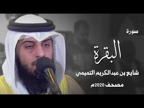 سورة البقرة شايع التميمي 