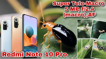 MACRO PHOTOGRAPHY USING XIAOMI REDMI NOTE10 PRO | SUPER TELE MACRO CAMERA TEST