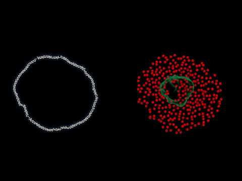 Different components of nanodisc fluctuations