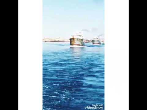 حلات واتس دا العسل بقاا طعمه مر
