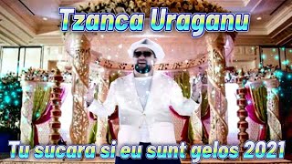 Tzanca Uraganu ❌ Tu sucara si eu sunt gelos 2021 ascultare doine banatene joc tiganesc nou 2021