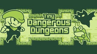 Tiny Dangerous Dungeons blind playthrough (No commentary) screenshot 3