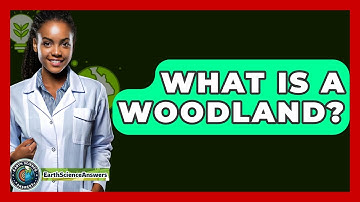 What Is A Woodland? - Earth Science Answers