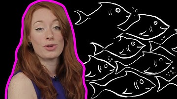 Win with science: The maths of successful teams | Head Squeeze