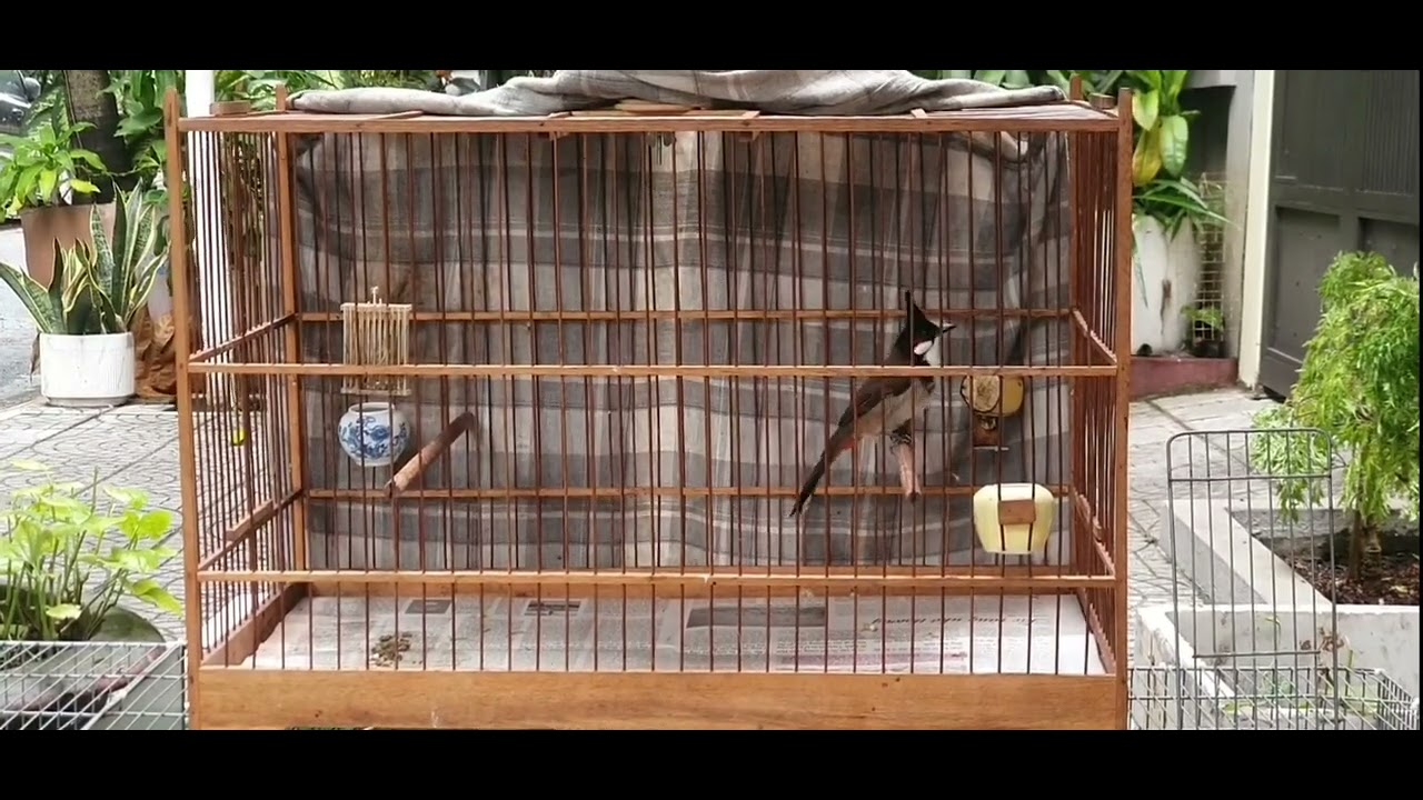 CHÚC AE CUỐI TUẦN VUI VẺ 🥰