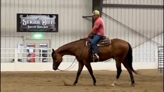 Full The Only Command - APHA/AQHA/PtHA Gelding News