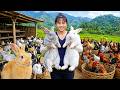[TIMELAPSE] -- 389 Days BuyingHarvesting Hundreds Rabbit, Chicken Eggs | Market Sold Out Fast